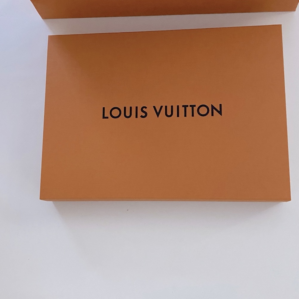 Louis Vuitton large Box
